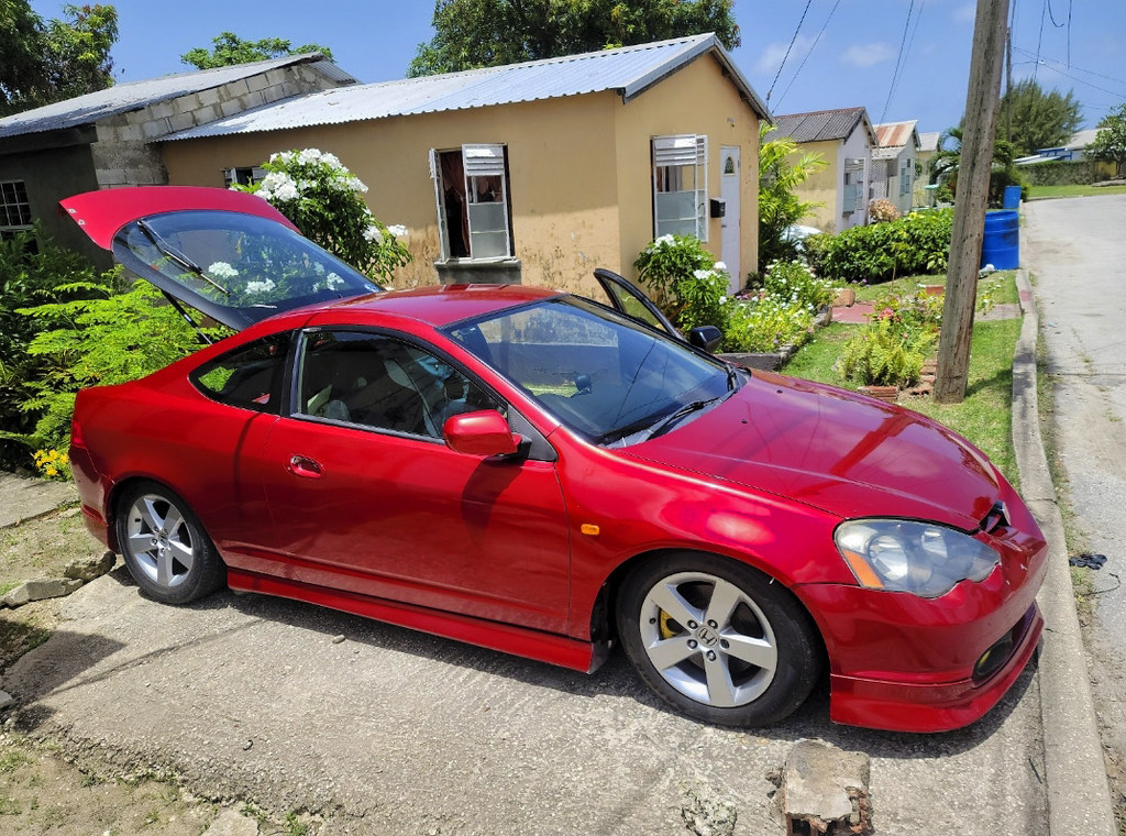 52317821523_632d28a6d0_b